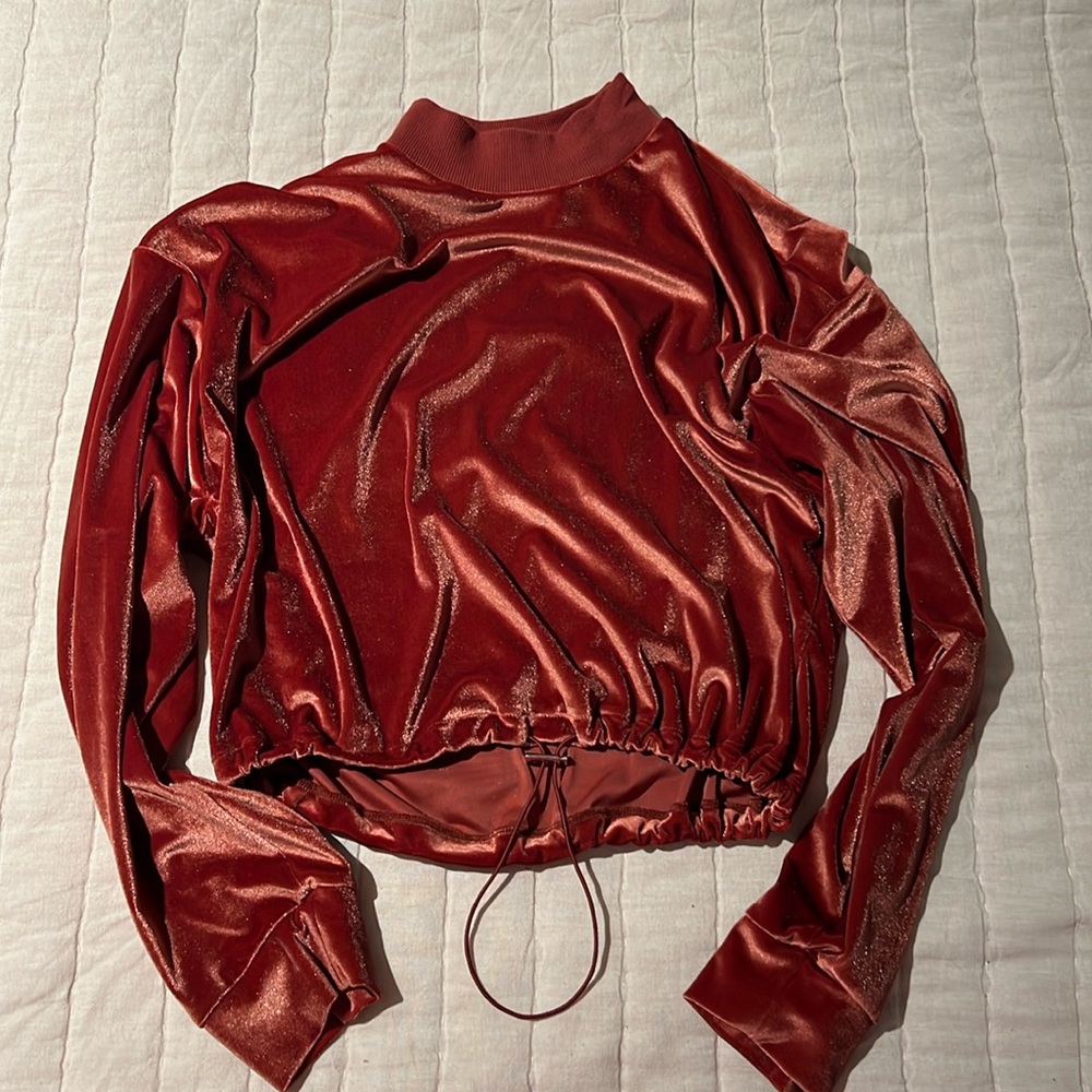 Crop -long sleeve top that sinches at the waist